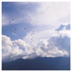 日韩女人大奶头特写视频
