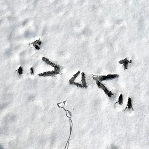 日韩女人大奶头特写视频
