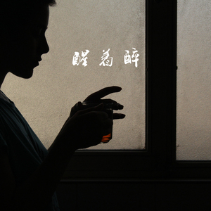 日韩女人大奶头特写视频
