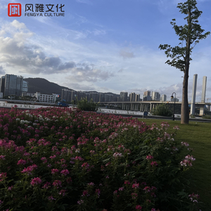 日韩女人大奶头特写视频
